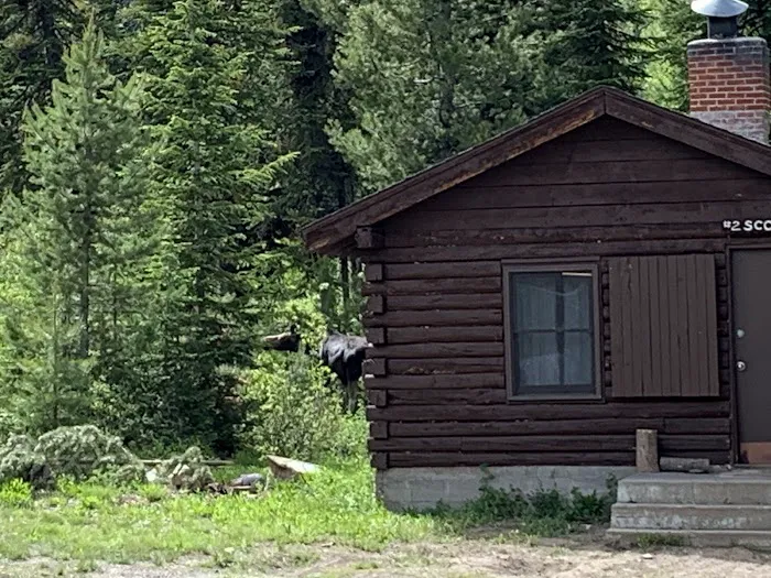 Camp Pine Dell 1