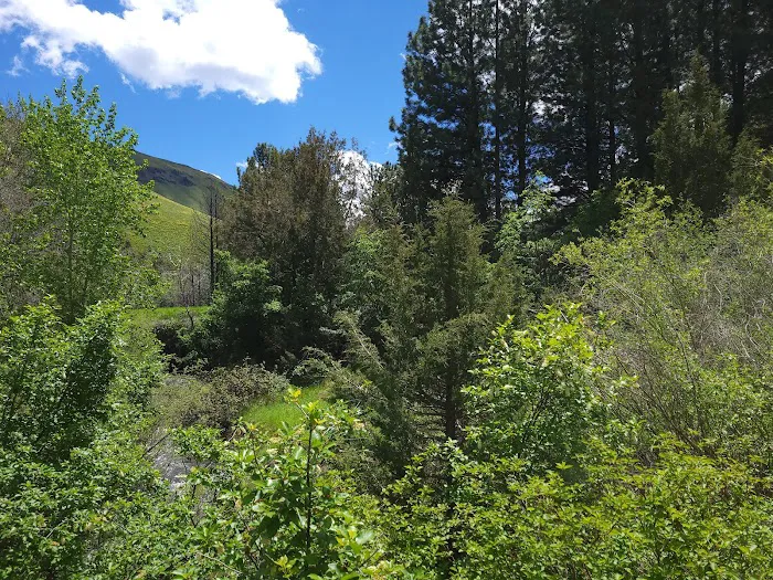 Third Fork Campground 0