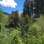 Third Fork Campground