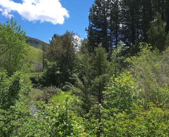 Third Fork Campground