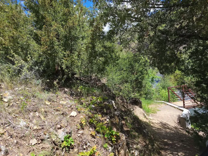 Third Fork Campground 7