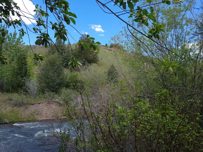 Third Fork Campground 5