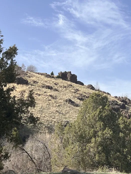 Third Fork Campground 8