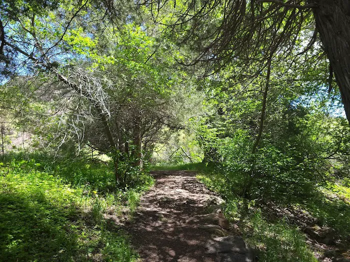 Third Fork Campground 6