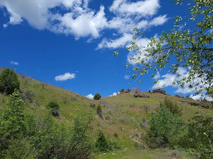 Third Fork Campground 4