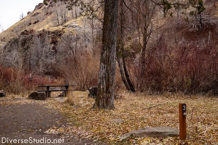 Steer Basin Campground 2