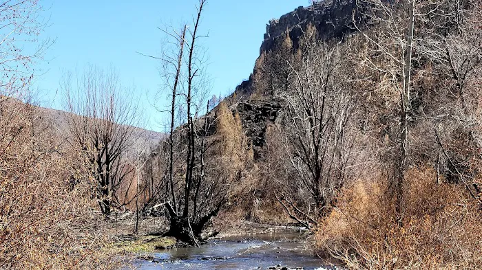 Steer Basin Campground 1
