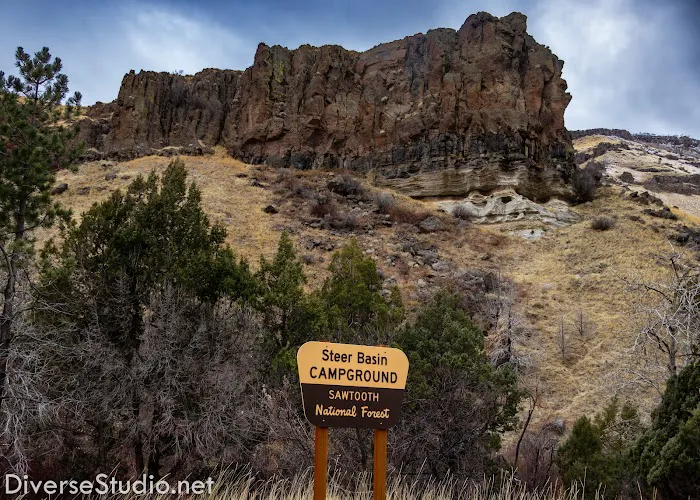 Steer Basin Campground 5