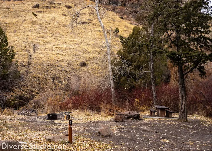 Steer Basin Campground 8