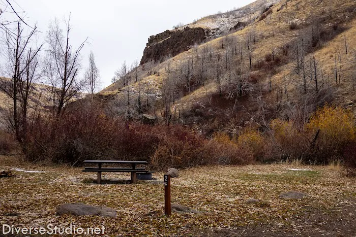 Steer Basin Campground 7