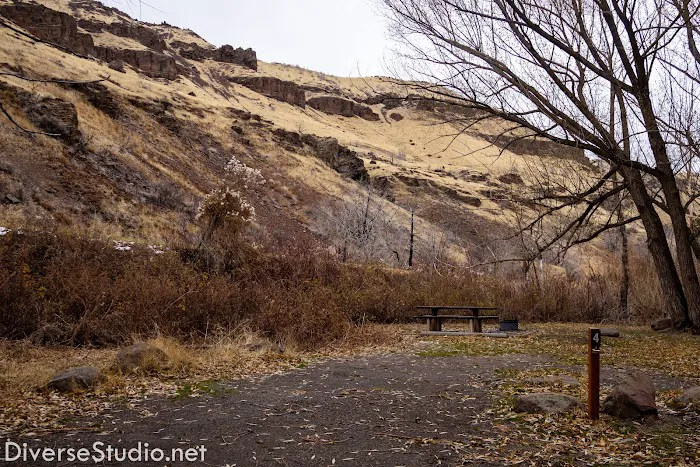 Steer Basin Campground 9