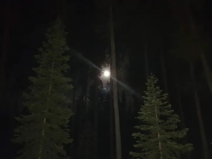 Father and Sons Campground 6