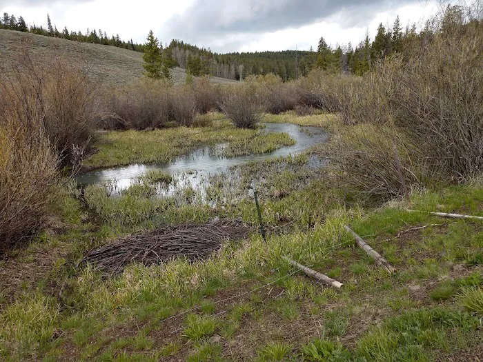 Bostetter Campground 5