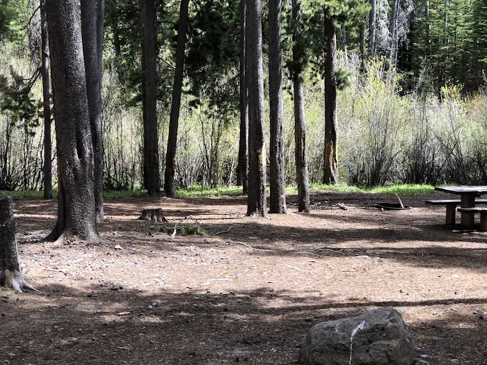 Bostetter Campground 3