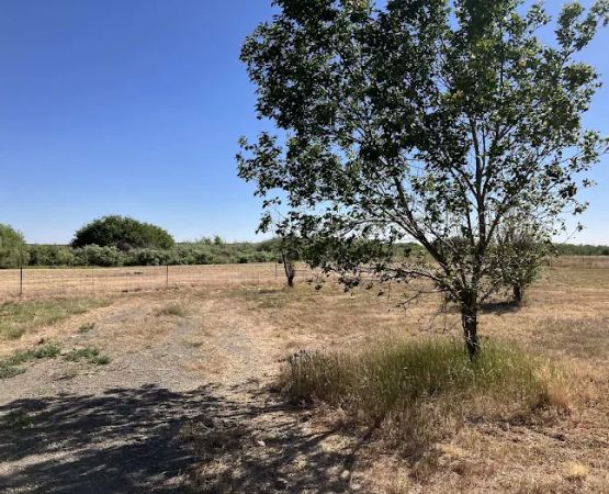 Riverwood Rec Site
