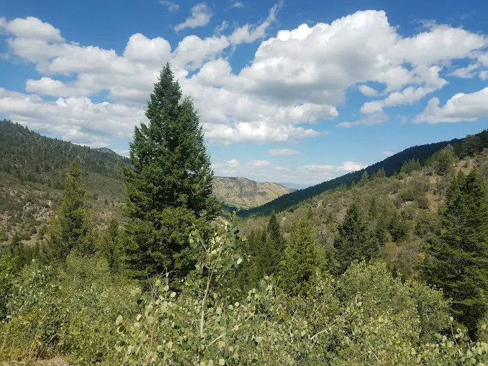 Porcupine Campground 1