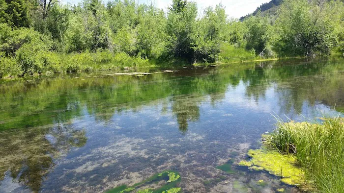 Porcupine Campground 7