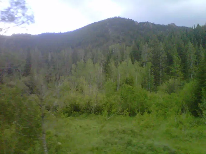 Porcupine Campground 6