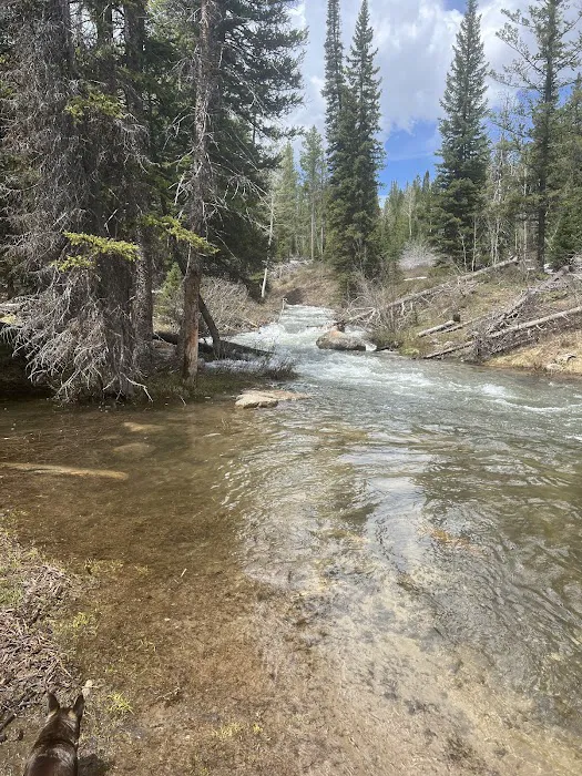 North Fork Overflow Campground 3