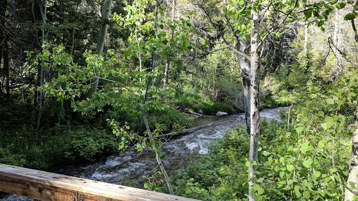 North Fork Overflow Campground 5