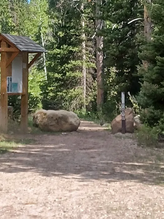 North Fork Overflow Campground 1