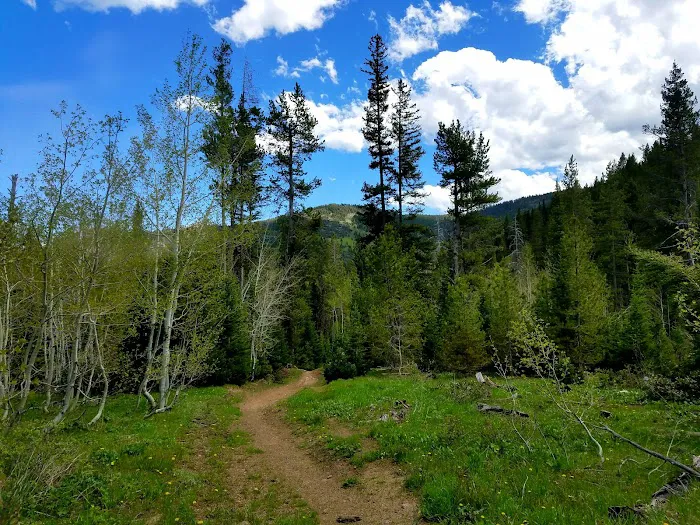 North Fork Overflow Campground 6