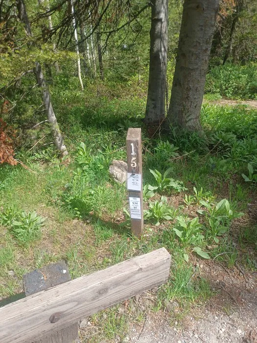 North Fork Overflow Campground 8