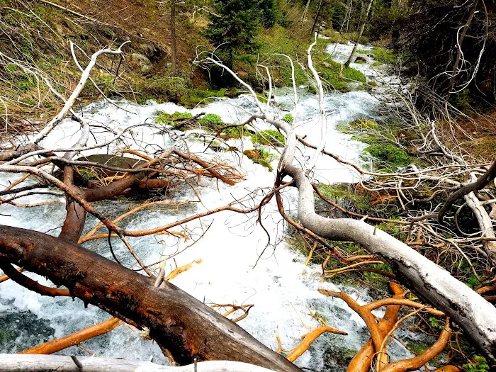 North Fork Overflow Campground 9