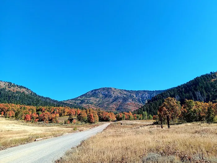 Hull Valley Camp 5