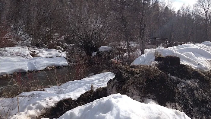 Albert Moser Campground 3