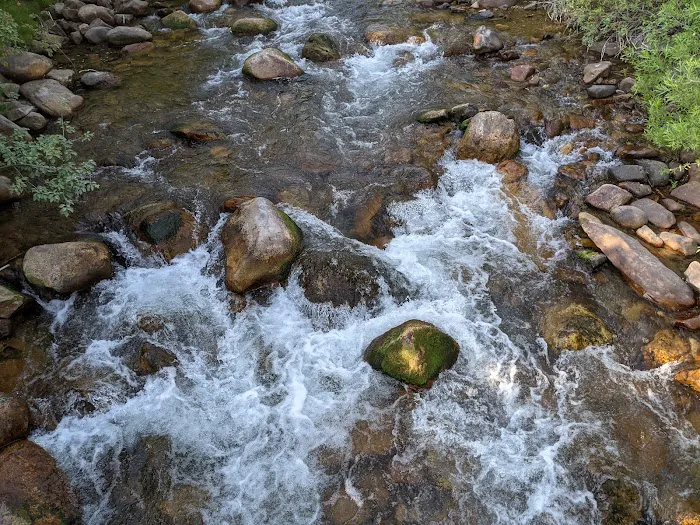 Albert Moser Campground 2