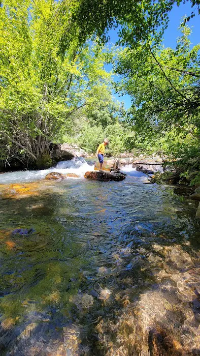 Albert Moser Campground 5