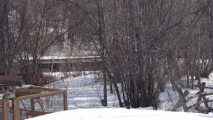Albert Moser Campground 6