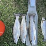 Sunrise Summit Resort RV Park