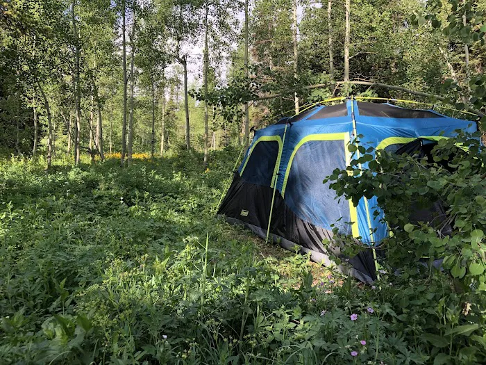 Emigration Campground 5