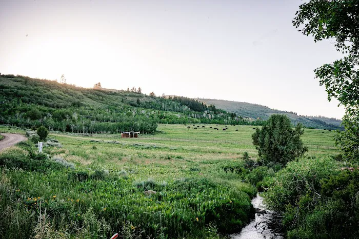 Liberty Ranch 7