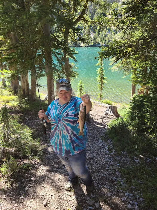 Iron Lake Campground 0