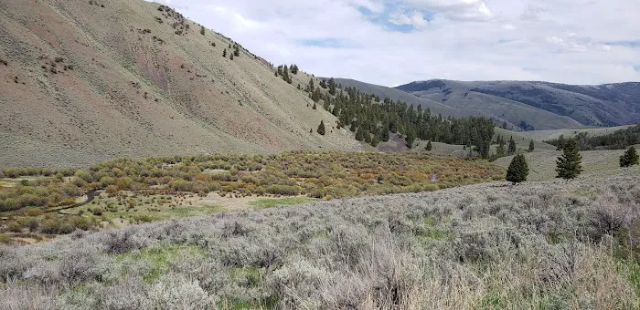 Bear Valley Horse Camp 2