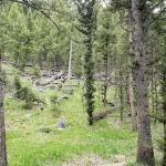 Bear Valley Horse Camp