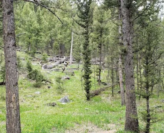 Bear Valley Horse Camp