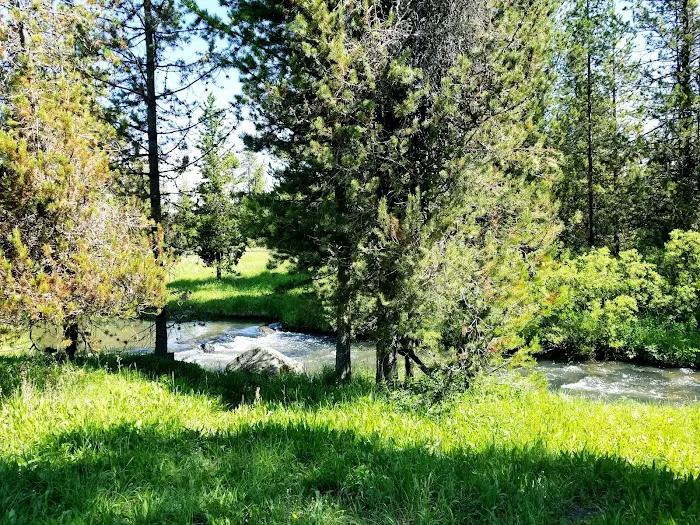 Pole Bridge Campground 5