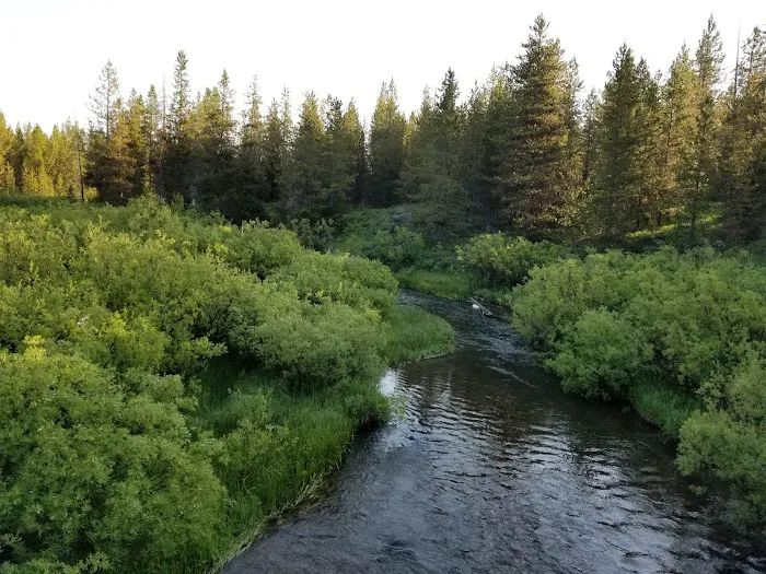 Pole Bridge Campground 6
