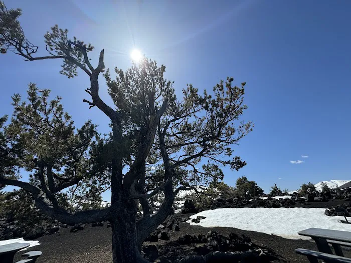 Lava Flow Campground 9