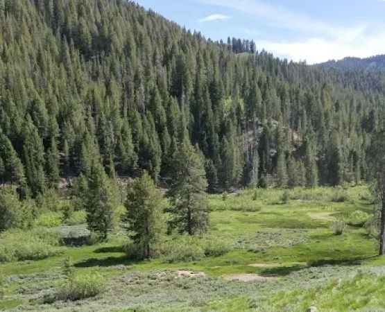 Carrie Creek Campground