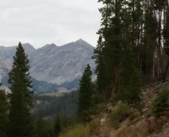 East Fork Baker Creek Campground