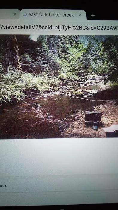 East Fork Baker Creek Campground 4