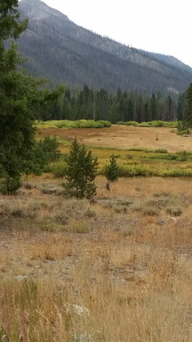 East Fork Baker Creek Campground 2