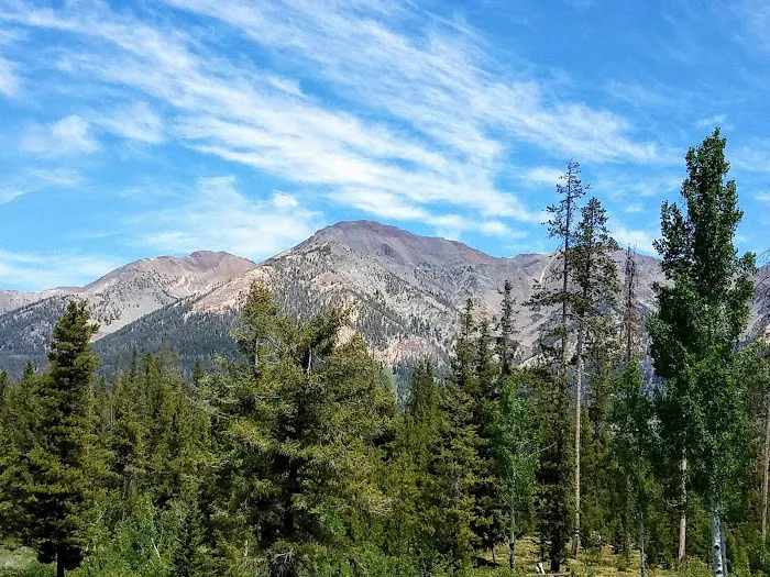 Central Idaho 4-H Camp 2