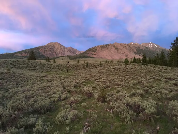 Broad Canyon Campground & Trailhead 1
