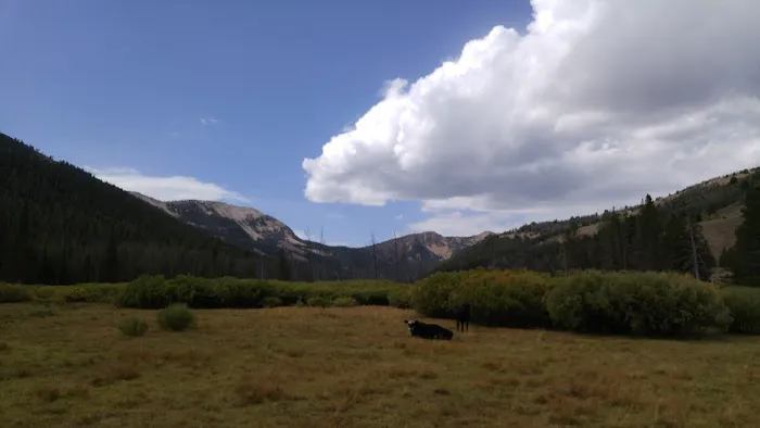 Broad Canyon Campground & Trailhead 0